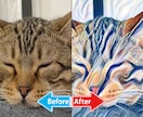 写真を絵画・イラスト風に加工します 写真がアート風に変身！アイコンやオリジナルTシャツに活用も！ イメージ5