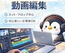 見やすいシンプルなYouTube動画編集します カット・テロップ中心でわかりやすく仕上げます イメージ1