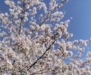 とりあえず聞いて欲しいを叶えます 少しでも溜まったストレスを一緒に発散するお手伝いをします！ イメージ1