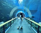 映える滋賀の旅プラン作成します 美しい景色や驚きの体験など映える旅を紹介します イメージ3