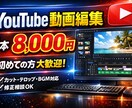 YouTubeの動画編集代行します 初めての人大歓迎！イメージに沿った動画作ります！ イメージ1