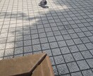 人生を楽しくする方法お伝えします 前向き、ポジティブで毎日を過ごすプロレスラーです。 イメージ10