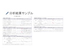 中小企業診断士が財務分析で御社の健康チェックします プロが2期分の財務諸表から、長所や危険度を分析します！ イメージ4