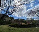あなたのどんな相談でも一緒に考えます 波乱万丈な人生を送ってきた私だから答えられることがきっとある イメージ1