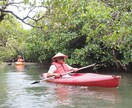Trip to Amami?英語でご相談にのります Plan your trip in English! イメージ8