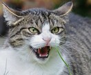 不満、イライラで今にもぶちキレそう！気持ち聞きます マジでムカつく(# ﾟДﾟ)！吐き出してスッキリしましょう！ イメージ3