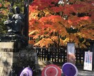 終活アドバイザーが相談のります 終活の相談ごと、エンディングノートの書き方 イメージ1