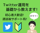 初心者向け｜Twitter運用の相談に乗ります プロフやツイート添削もお任せください。後日サポート有!! イメージ1