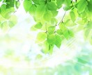 心身に溜まったストレスを軽減いたします 遠隔ヒーリングであなたの心身に深い癒しをお届けします イメージ1