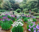 運気×心理×哲学で“今のあなた”を癒し導きます 心の迷いを整えるスピリチュアル人生リーディング イメージ3