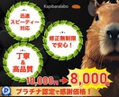 プラチナ認定で感謝価格！最高のデザインお作りします 先着5名限定特価！現役プロのデザイナーが作る結果を出すチラシ イメージ1