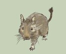 写真から犬・猫・小動物の似顔絵を描きます やさしい手描きタッチで、SNSアイコン・記念におすすめ イメージ6