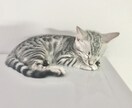 愚痴や相談をお聞かせください！お待ちしています 明日に引きずらない為のメンタルリセット！ イメージ4