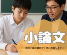 高校生・大学受験生対象 小論文の添削の指導をします 現役小論文講師が丁寧に分かりやすく添削します！ イメージ1