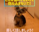 雑談、悩み、相談など何でも聞きます 男女、年齢問わず、楽しくお話ししましょう！！ イメージ1