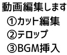 まずは無料サンプル動画からOK！動画編集いたます カット・テロップ・BGM挿入をお任せください！ イメージ1