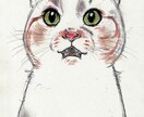 手描きで主に猫イラストを描いています 皆様のリクエストにお応えして猫や様々なイラストを描きます。 イメージ6