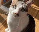 写真からイラストを描きます 大切なペットをイラストにしませんか？ イメージ2