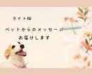 ライト版：ペットからのメッセージをお届けします 大事な家族である動物たちのメッセージを聞きたい方へ イメージ1
