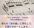 初心者向け！オンラインピアノレッスンいたします 「この曲が弾きたい！」その想い、全力で応援します！ イメージ3