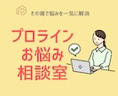 プロラインの疑問を60分で解決します その場で悩みを一気に解消【初心者も安心サポート】 イメージ1