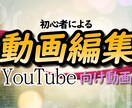 簡単なYouTube動画編集承ります 初心者動画編集者でも構わない方向け!! イメージ1