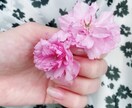 今の自分のすすむべき道とは？占います 『アナタ』を知ることが全てのはじまり。 イメージ4