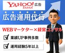 初心者OK！Yahoo!広告運用代行いたします 経営コンサル/WEBマーケターが利益に直結する運用を！ イメージ1