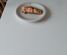 ご家庭で簡単においしくできるレシピを届けます トマトしょうが焼きをお届けします イメージ2