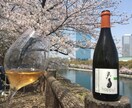お食事とワインのペアリング、一緒に考えます 特別なひとときに最高のワインのペアリングを。 イメージ7
