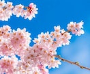 これからの人生を導きます あなたを寄り添うように占いで導きます イメージ1