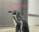 関西弁がいいよって方には関西弁で話します 優しい関西弁でお話しします╰(*´︶`*)╯♡ イメージ8