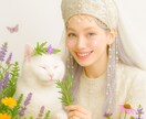 香で、揺らぐあなたの気持ちや未来も優しくひらきます 今のあなたにぴったりのハーブを、ランキングでお届けします。 イメージ1