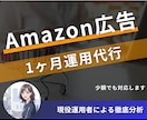 まずはお試し！ Amazon 広告 運用代行します 現役の1,000万円運用者があなたの商品の魅力を伝えます！ イメージ1