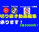 ショート動画・切り抜き編集を高品質でお届けします SNS向け切り抜き動画を素早く納品! イメージ1