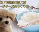 ブログ用のアイキャッチ画像を作成します 自身アイキャッチ画像を変えただけでアクセス数が2倍に！ イメージ10