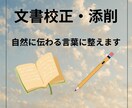 ちょっと直してほしいを気軽に！文章を整えます 文章作成や校正など、手直しが必要な方は是非！！ イメージ1
