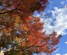 チャット内でひとことアドバイスをいたします 現役大学生の視点でアドバイスさせていただきます イメージ1