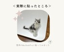 オーダーメイド！世界に一つのペットシール作ります 【送料無料】ハンドメイド♡ラミネート加工で表面ツヤツヤ♩ イメージ5