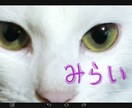 開運！タロットで、あなたの未来を占います ３か月先までの、あなたの未来がわかります。 イメージ1