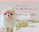 チャット相談OK！ニードルフェルト教えます 羊毛フェルトでポメラニアンを作りましょう。植毛の解説あり！ イメージ1