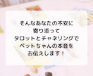 愛するペットの本音を知りたい！サクサク鑑定します 【先着10名様！】実績4600件のスピード鑑定♪ イメージ5