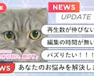 視聴者を1秒も飽きさせない映像を制作します SNSが伸びず悩んでいる方、ご相談ください イメージ3