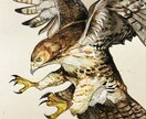 原画郵送✳︎動物を透明水彩や色鉛筆で描きます お好きな動物や愛するペットなど何でも描きます！ イメージ3