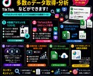 TikTokのデータ取得、分析など出来ます 指定アカウントのプロフィールや投稿情報、リンク情報抽出抽出 イメージ1