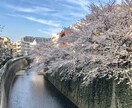 今しんどい方！悩みに寄り添い心を軽くします ➖少しでも心が穏やかになるよう寄り添います イメージ1