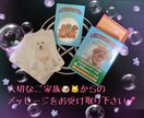ペット占い♪ご家族の犬・猫ちゃん♪占わせて頂きます ！亡くなってしまったペットちゃん、、今のお気持ち知りたい‼︎ イメージ6