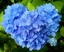 あなたの言葉に耳を傾けます 悩みのポジティブな側面も見つけます イメージ1