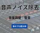音声のノイズ除去・音量調整をします 音のプロ歴20年。聞き取りやすく自然な音声に整えます イメージ1