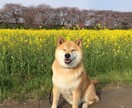 悩み相談承ります 今の悩み、これからの人生や今の悩み相談に乗ります！ イメージ1